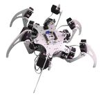 دای هگزاپد ربات آموزشی 6 پا بیونیک Hexapod ربات عنکبوتی